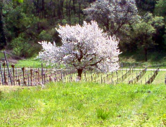바이덴 암 제 Siebenbruederhof 아파트 외부 사진